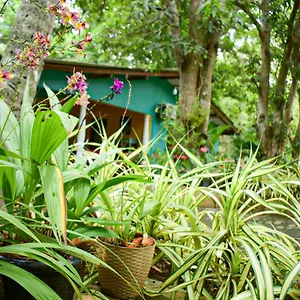 Palitha Ubytování v soukromí Sigiriya